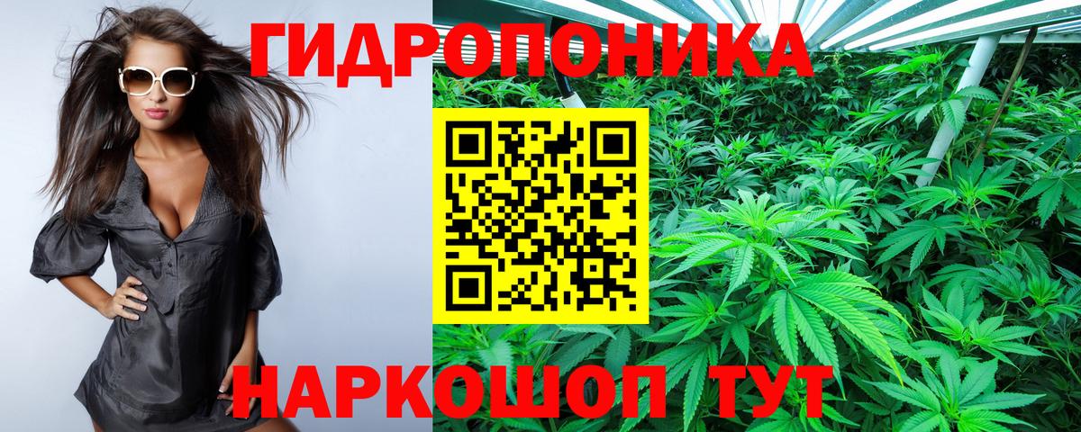 Конопля гибрид  Вход с VPN  Каннабис планчик  Марихуана SATIVA & INDICA  Гудермес 
